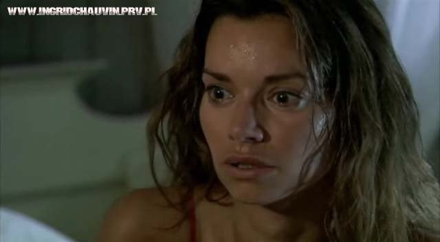 pdvd_134kopia.jpg