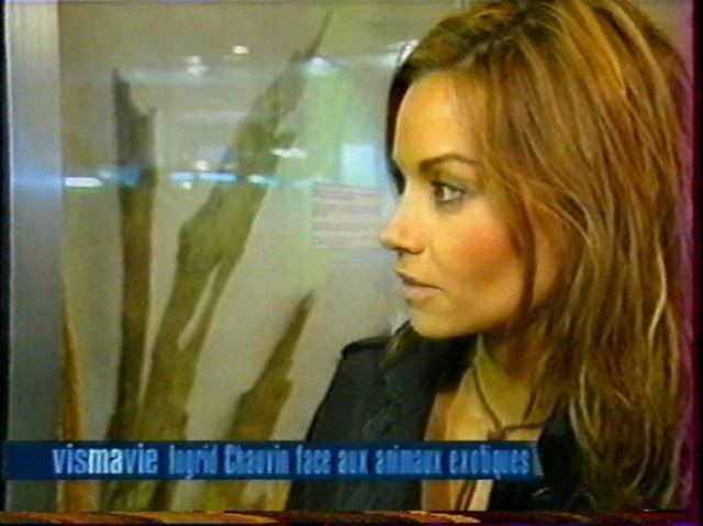 vimage00012.jpg